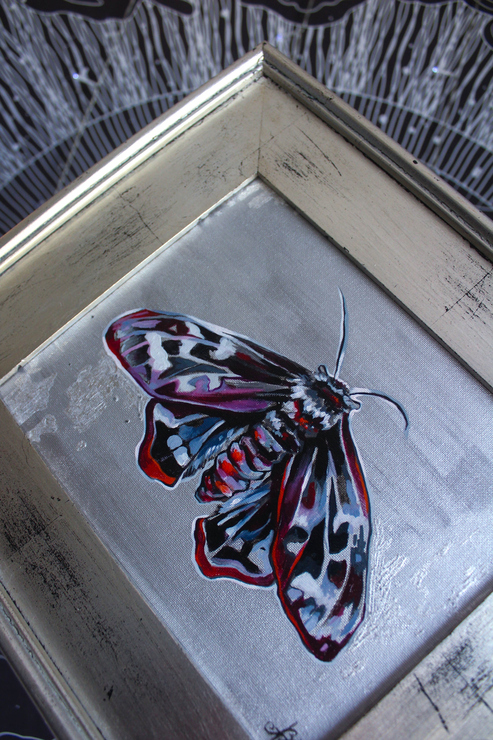 Mourning Moth