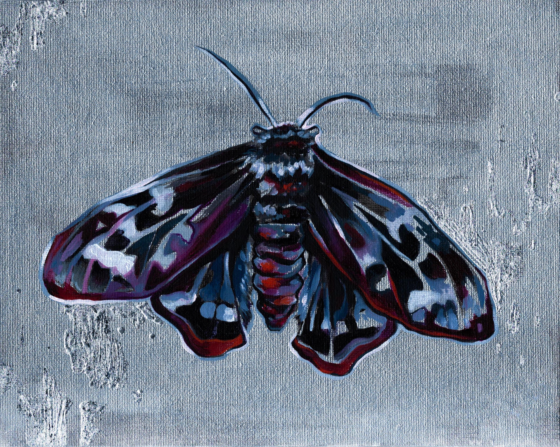 Mourning Moth