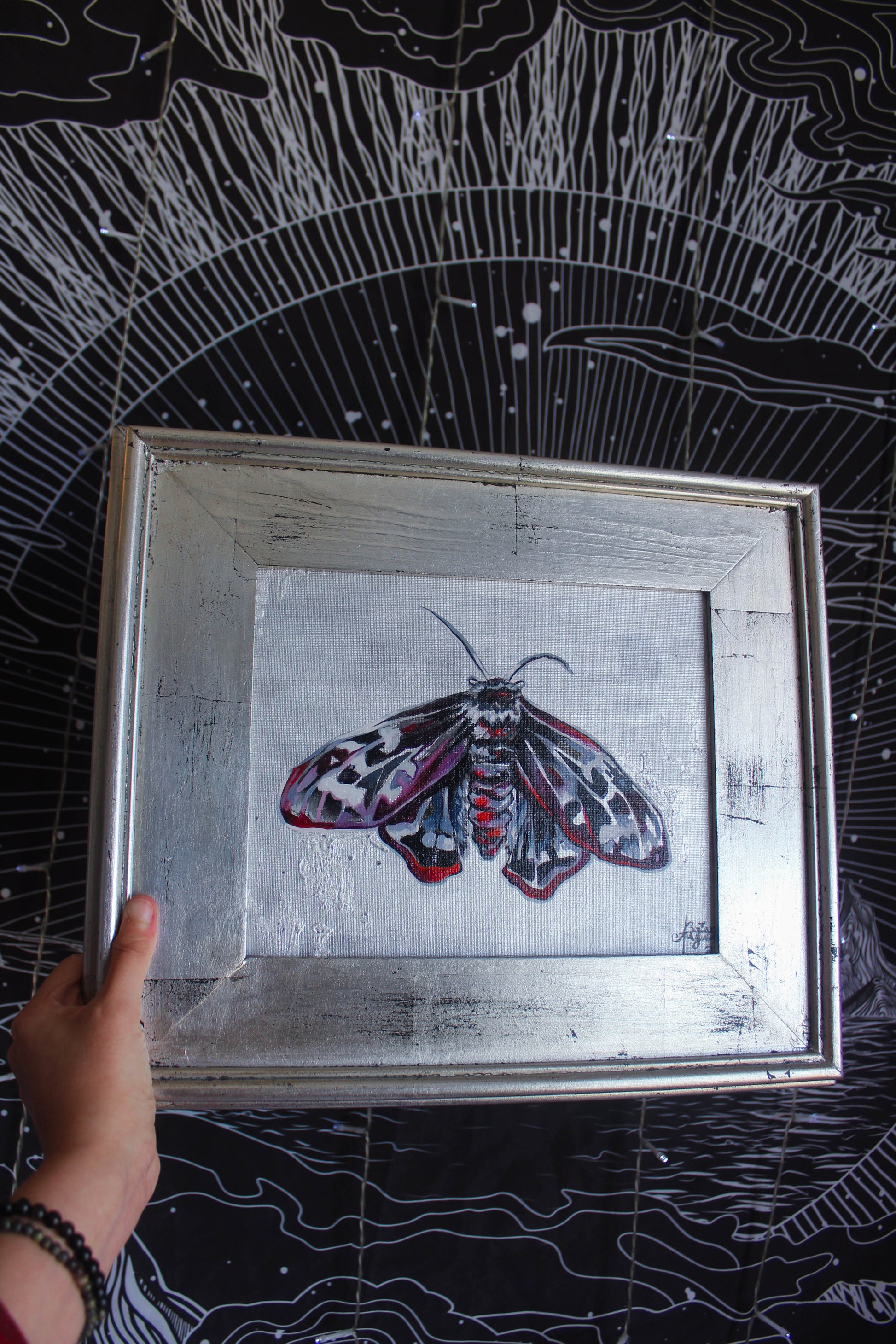Mourning Moth