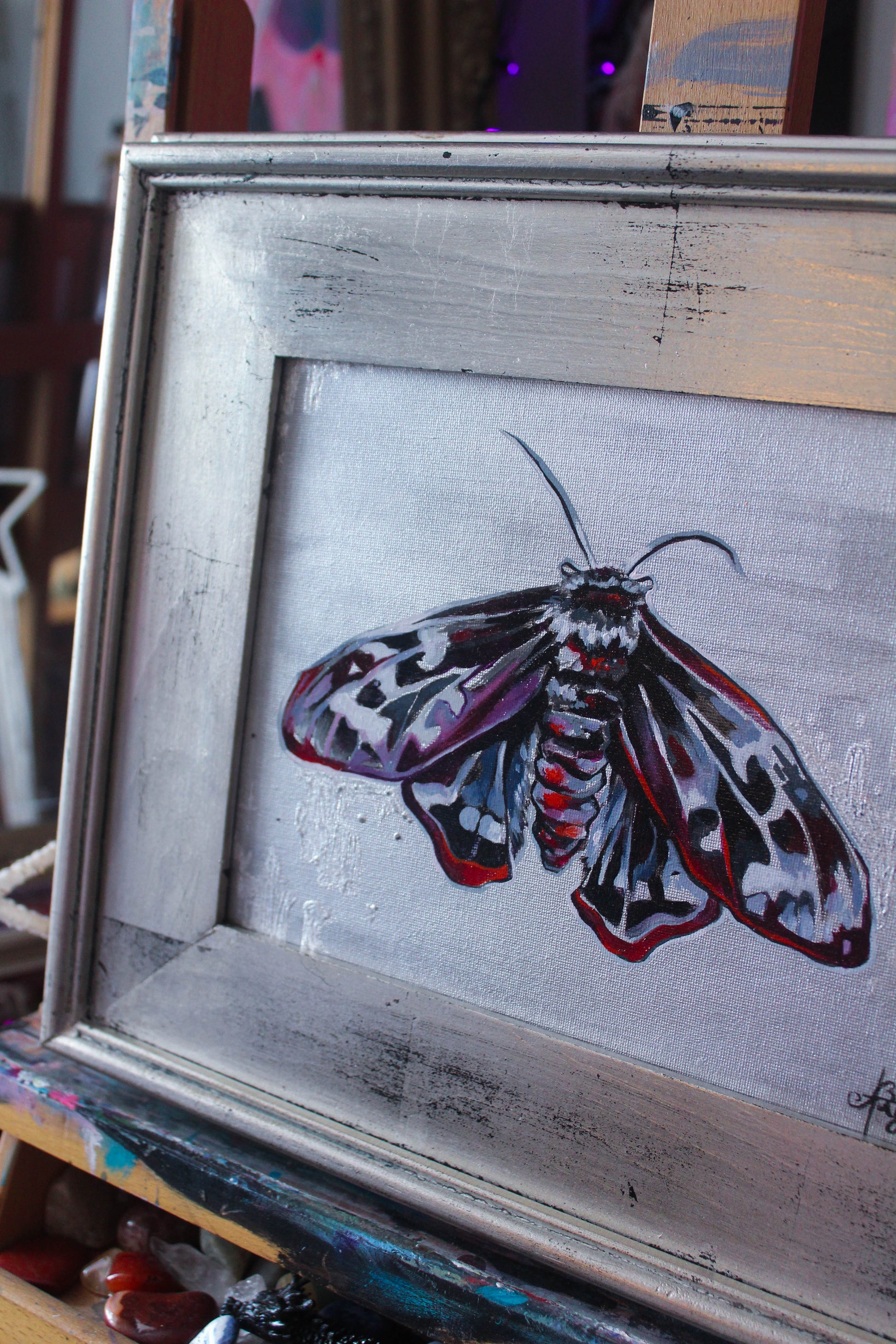 Mourning Moth