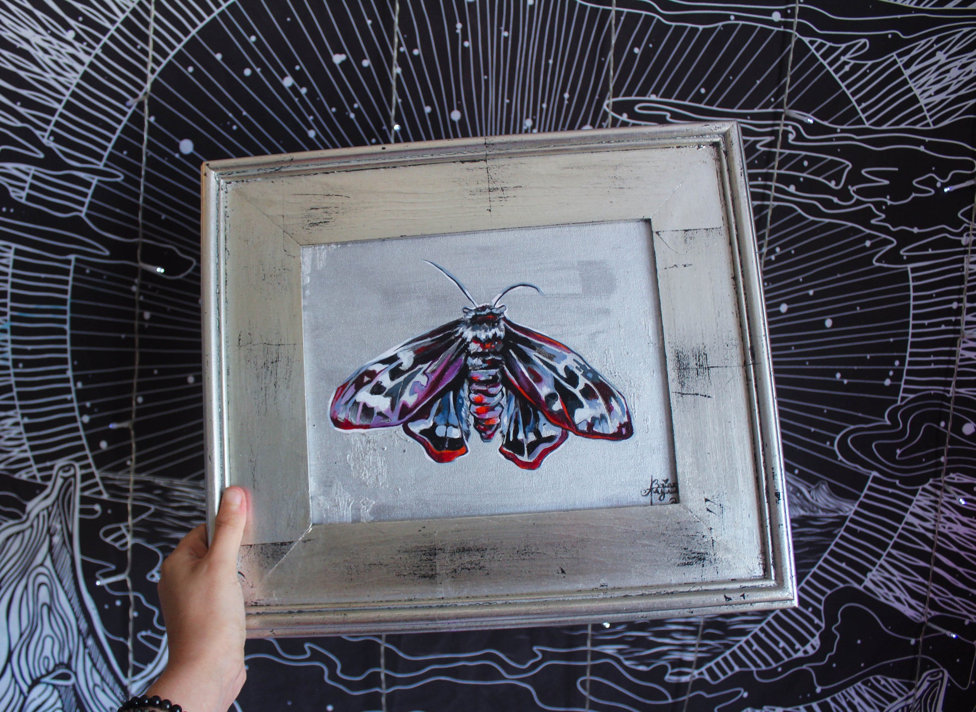 Mourning Moth